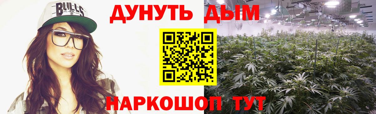 Шишки марихуана план  Канабис семена  Марихуана планчик  Вход с VPN  Сызрань 
